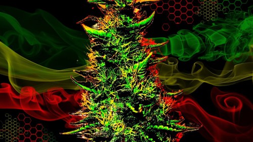 sanitas wallpaper. cannabis wallpaper. cannabis